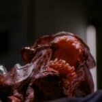 biohazard04