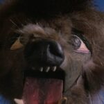 howling205