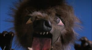 howling205
