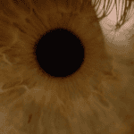 whiteeye02